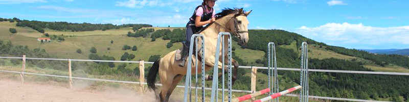 Saut d'obstacle à cheval