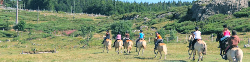 Balade à cheval en groupe