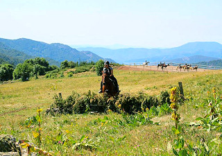 des chevaux et des pâtures