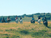 Balade à cheval
