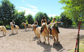 chevaux et cavaliers