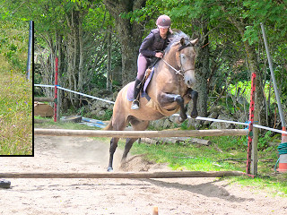 passage d'un obstacle à cheval